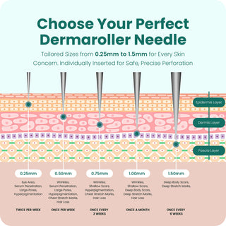 0.75mm Dermaroller Head Replacement - Wrinkles, Hair Growth, Male Beard Growth